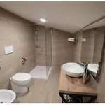 - A 4* 卡斯特罗维拉里